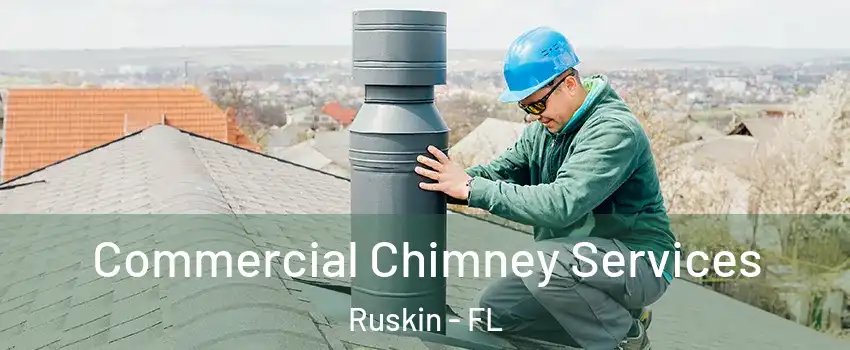  Commercial Chimney Services Ruskin - FL