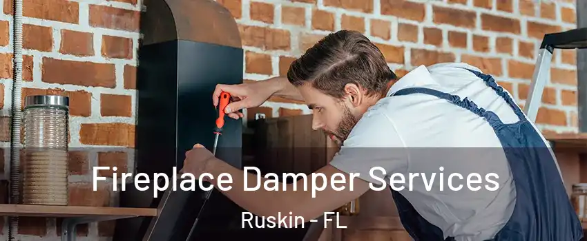  Fireplace Damper Services Ruskin - FL