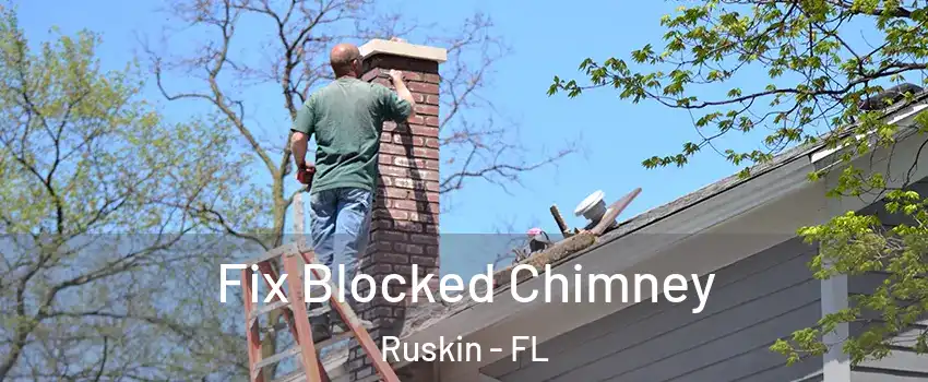  Fix Blocked Chimney Ruskin - FL