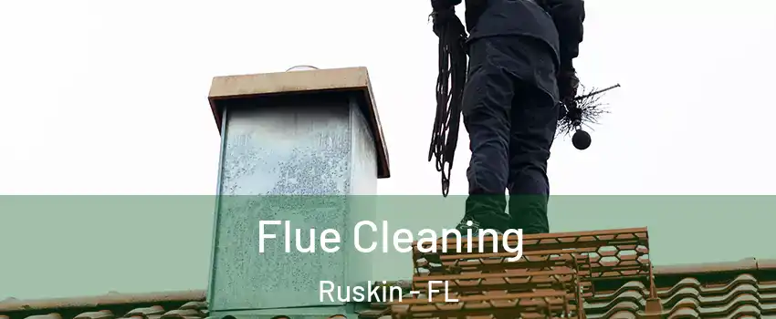  Flue Cleaning Ruskin - FL